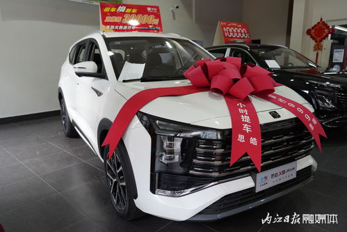 內江第三十三屆汽車文化周盛大啟幕，內江市宇良汽車銷售攜江淮、思皓等實力車型驚艷亮相